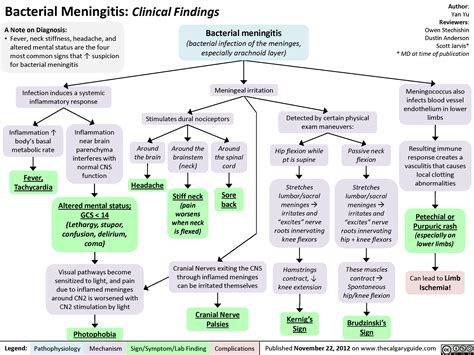 meningeal compression test|dna testing for viral meningitis.